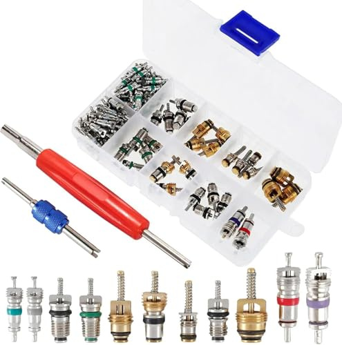 102 Pcs Climatisation Valve Core Kit, A/C Automobile Climatisation Réfrigération Pneu Valve, Kit Valve Clim Voiture R134a/R12 pour le Remplacement et l'Entretien de la Climatisation Automobile
