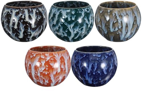 Générique Coffret 5 Tasses à Thé en Céramique - Motifs Décoratifs et Élégants - Usage Domestique et Cérémonie du Thé