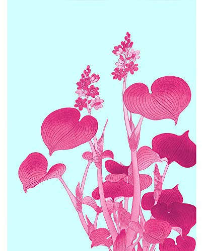 Wee Blue Coo Ohara Koson Blooming Hosta Large Wall Art Print Canvas Premium Poster