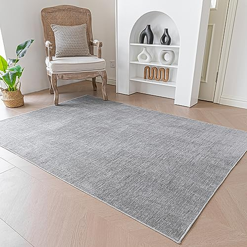 Evitany Short Pile Carpet, Area Rugs Machine Washable Room Rug Anti-Slip Rug, Soft Carpets Bedside Rugs for Bedrooms(Grey,60x120 cm)
