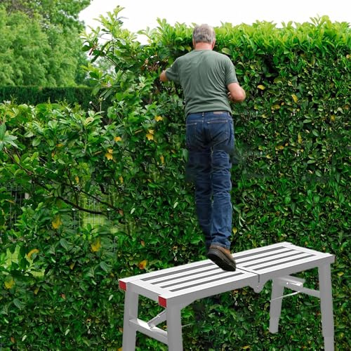 Générique Échafaudage Pliable réglable avec Pieds, 160 x 29,8 cm, Supports d'étagères, Plateforme idéale pour échelles et escaliers, Taille de Haies de Jardin Robuste.