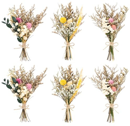 MINISOISO 6 Mazzi Fiori Secchi Naturali, Bouquet di Piccoli Fiori Secchi Decorativi, per Cornici Fai da Te, Decorazioni per Matrimoni e Feste in Casa