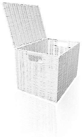 Arpan Laundry Resin Woven Basket Storage Chest Trunk Hamper/Kids Toy Storage Box Basket, White (Medium - W37xD26x26cms)