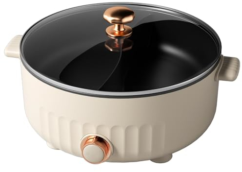 ARTSIM Appareil Fondue Chinoise, Feu à Trois Vitesses Fondue Chinoise Traditionnelle Convient Aux FêTes d'anniversaire (avec 2 Filets Non éTanches),White