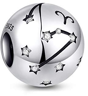 NINGAN die Zwillinge 12 Sternzeichen Geburtstag Anhänger – 925 Sterlingsilber Anhänger für Armband & Halskette – Ideale Geburtsgeschenke für Frauen & Freundinnen