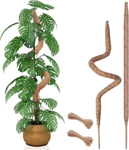 2 Piezas 70 cm Poste de Musgo, Poste de Musgo Flexible para Plantas Monstera, Postes Altos de Musgo para Plantas Trepadoras de Interior, Soporte Grande, Estacas de Enrejado para Jardín