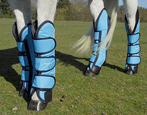 Rhinegold Elite Reisestiefel, volle Länge, 4 Stück S Turquoise/Navy