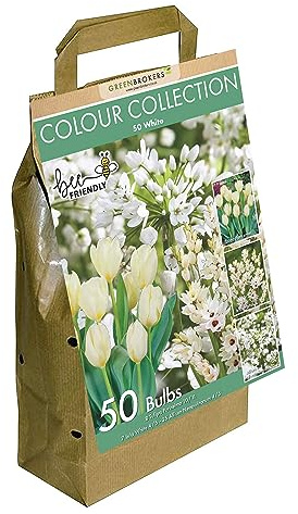 GreenBrokers Colour Collection Spring Flower Bulbs - White