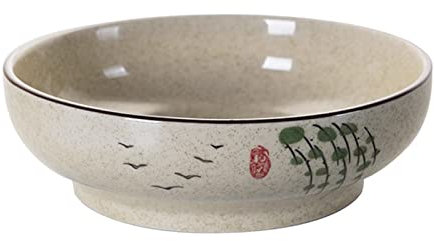 TuYines Ensaladera grande XXL, cuenco grande para sopa, cuenco grande de cerámica, cuenco para servir de 23 cm de diámetro, resistente para mezclar frutas, pasta