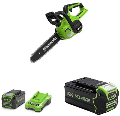 Greenworks 30cm Akku Kettensäge, 4,2 m/s Kettengeschwindigkeit, 2,6 kg, Automatisches Öl-System + 4Ah Lithium-Ionen Akku mit 2A Ladegerät+ 5Ah Lithium-Ionen Akku,3-stufige LED Batterieanzeige
