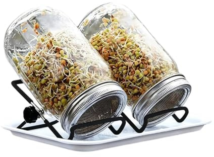 Generiskt groddar glasuppsättning – jordlös groddodlingsbehållare | enkel, hygienisk broccoli-odlingsglas – för vegetariskt , lägenhet, skafferi, kontor, fönsterbräda,