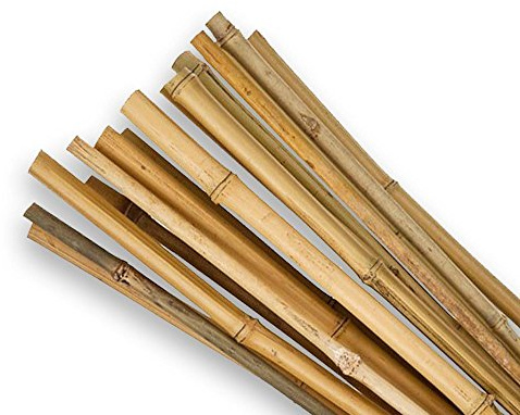 25 PZ CANNE CANNA DI BAMBOO PALI PALETTI H.210 CM SPESSORE Ø 24/26 FERR 268769