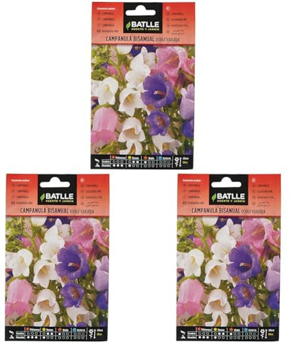 Semillas Batlle Campanula Bisanual doble variada (Paquete de 3)