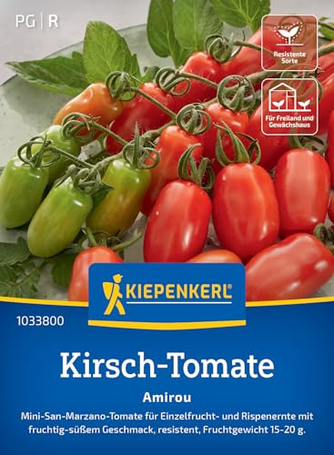 Kiepenkerl Kirsch-Tomatensamen Amirou 1033800, Gemüsesaat | Resistente Sorte, Einzelfrucht- und Rispenernte, Wuchshöhe 150-200 cm, platzfest, für Freiland, Gewächshaus & Topf