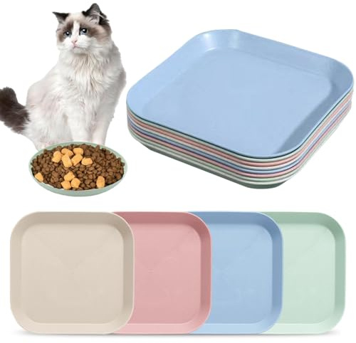 Set de Gamelle Chat, Bol Nourriture, Plates Peu Profondes, Plat Assiette Chat Régime, Écuelle Plateau Gamelle de Nourriture pour Intérieur,Plastique,Réutilisable,Taille Universelle