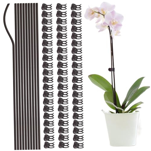 10 bastoncini di supporto per piante con 60 clip per piante, 16 bastoncini pieghevoli a stelo singolo, supportano paletti da giardino rivestiti in plastica per Phalaenopsis, orchidea, giglio, rosa