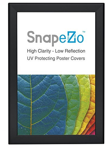 SnapeZo Wetterbeständiger schwarzer Posterrahmen 27,9 x 43,2 cm, 3,5 cm Outdoor-Profil, Outdoor-Poster-Ausstellungseinheit