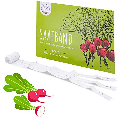 5m Ruban de graines de radis (Radis Géant Vitessa) - Des radis rouges juteux idéaux pour la culture dans le jardin, la jardinière de balcon et le potager