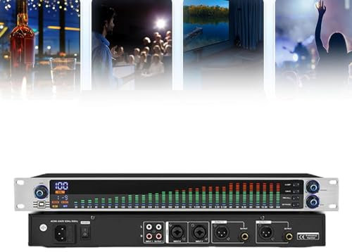 Digital Band Equalizer, Audio Spectrum Analyzer With Dual Channel, 10 Preset Effects and 2U Rack Mount, Intelligent Noise Reduction and And Adjustable Volume,for Stage Singing, Band Performances