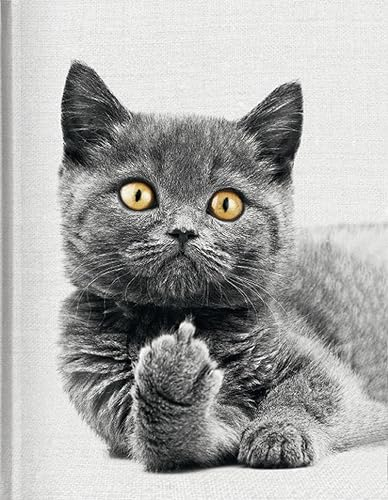 Cat: Blankbook (Blankbook (RB906))
