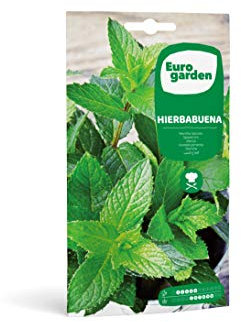 Eurogarden - Semillas de Hierbabuena, Planta aromática culinaria, 0,1 g - 6234