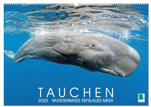 Tauchen: Wunderbares tiefblaues Meer (Wandkalender 2025 DIN A2 quer), CALVENDO Monatskalender: Großartige Unterwasseraufnahmen in der blauen Tiefe: Faszination Tauchen (CALVENDO Sport)