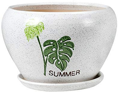 Maceta de cerámica Manzana Gruesa Redonda Gran Calibre Planta Verde Maceta de cerámica Bonsái Carnoso Creativo Maceta Verde con Bandeja Oficina en casa Decoración de Navidad (Tamaño : L)