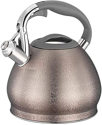 CAFIEDR Théière pour cuisinière Bouilloire à thé sifflante Bouilloire en Acier Inoxydable Bouilloire à Eau Chaude Bouilloire Chauffe-Eau Bouilloire instantanée Bouilloire à thé 3L Bouilloires à thé