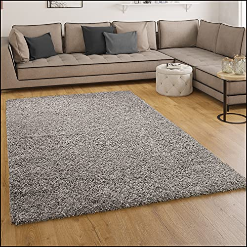 Paco Home Shaggy Hochflor Langflor Teppich Sky Einfarbig in Grau, Grösse:120x170 cm