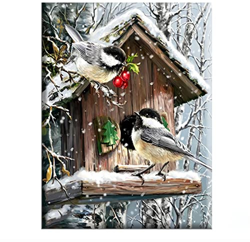cukol cukol Kreuzstich Set Vorgedruckt Erwachsene, Stickbilder 36x46 cm