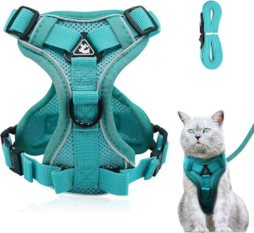 Justerbar kattsele som är rymningssäker, set med koppel, mjuk bröstsele för katter, kattungar, hundar, valpar, havsblå, XS