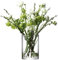 LSA International Column Vase/Candleholder H24 x Ø17cm Clear, 17 x 17 x 24 cm