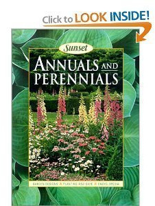 Annuals and Perennials