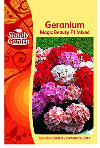 Packet of Geranium Magic Beauty F1 Mixed Seeds, 6 Seeds in the packet