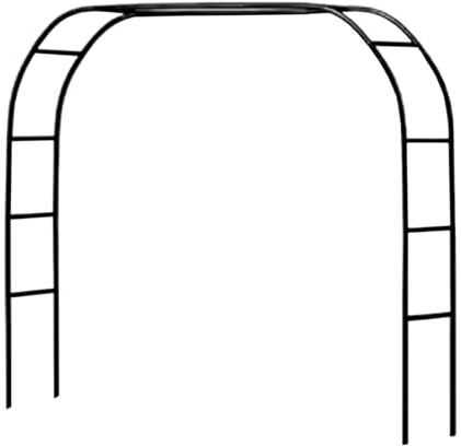 Arche de jardin en fer forgé pour plantes grimpantes - Support décoratif pour fleurs - 180 x 40 x 250 cm