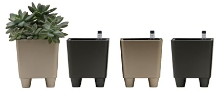 Selfwatering Mini Square Planters 4-Pack with Water Level Indicator for African Violets, Small House Plants