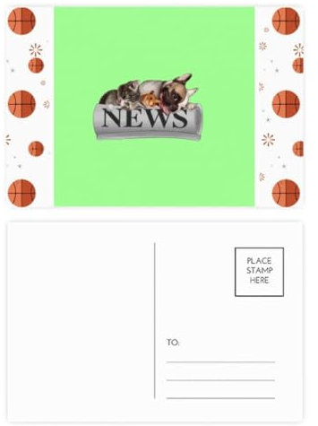 Roll Newspaper Pet Group Art Deco Fashion Basketball Postcard Set Thanks Card Mailing Side 20pcs