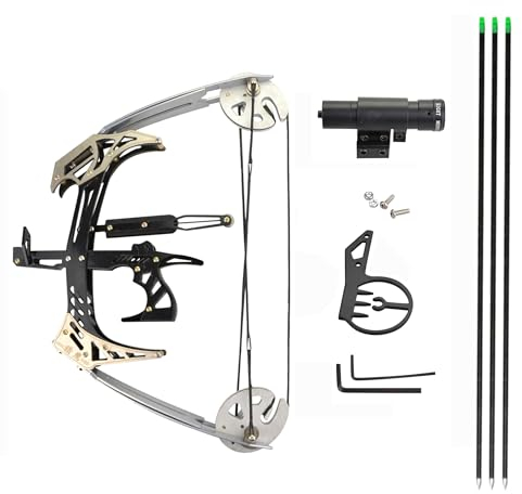 AMEYXGS Bogenschießen Mini Compoundbogen 25lbs Compoundbogen Set Bogen und Pfeile mit Visier für Rechts und Handbogenschützen