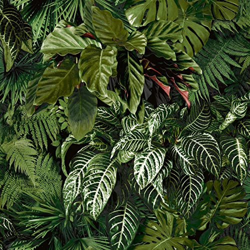 Ciara Tropical Palm Green Wallpaper - Botanical Leaves Jungle Modern Contemporary Paste The Wall Vinyl