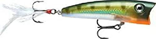 Rapala - Señuelo de Pesca X-Rap Pop - Material de Pesca con Grande Boca Cóncava - Señuelo Pesca Marina y de Agua Dulce - Prof de Nado de Superficie - 7cm/11g - Hecho en Estonia - Yellow Perch