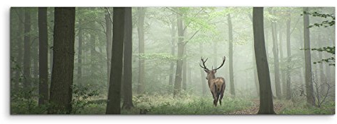 Paul Sinus Art Panoramabild 120x40cm Landschaftsfotografie – Hirsch im Nebelwald