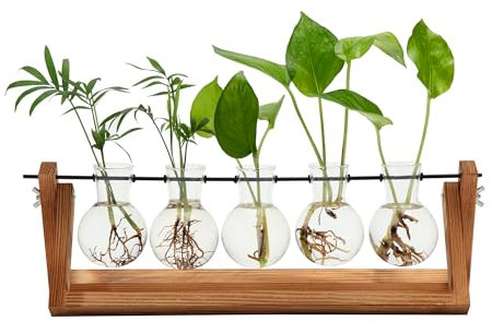 Hyindoor Propagation Station with Vintage Wooden Stand and Metal Rotating Rod for Hydroponics Plants Desktop Glass Planter Bulb Vase for Home Decoration(5 Bulb Vase)