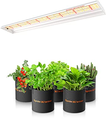 Spider Farmer LED Pflanzenlampe SF600 LED Grow Lampe Vollspektrum Grow Light Wachstumslampe für Zimmerpflanzen mit Reflektor Pflanzenleuchte Pflanzenlicht für Innen Gartenarbeit Gemüse Blume 384 LEDs