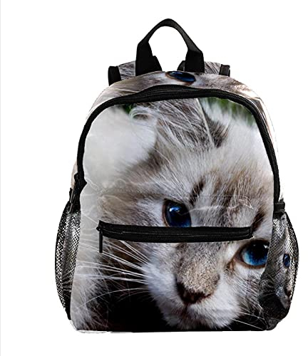 delayer Kinderrucksack Schulranzen weiße Katze Kindergarten Kindertasche Vorschulkindergarten Reisetasche