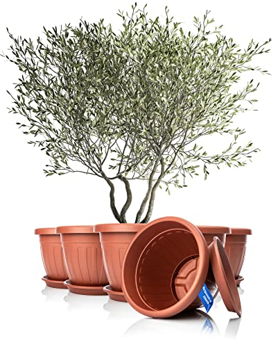 BigDean 6X Blumentopf mit Untersetzer rund ø50xH38 cm Terracotta - wetterfester Pflanzkübel - Wasserablauf UV-beständig aus bruchsicherem Kunststoff - Innen + Außen geeignet - Made in Europe