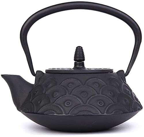 CAFIEDR Bouilloire en Fonte de Style Japonais Théière en Fonte avec Filtre Amovible en Acier Inoxydable Bouteille d'eau en Fer rétro Non revêtue pour thé Vert ou sachets de thé