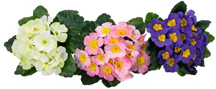 Seidenblumen Roß 3er-Set künstliche Primel in weiß, rosa und lila 22cm PM Kunstblumen Kunstpflanzen künstlicher Primelbusch Schlüsselblume