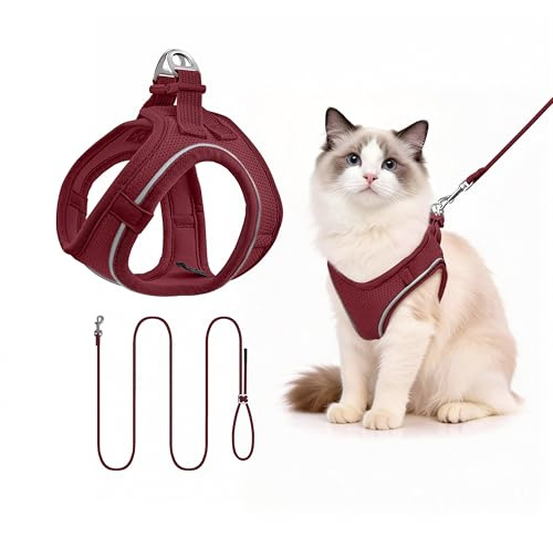 Hundegeschirr mit Leine 255cm S Set, Reflektierend (Weinrot) | Brustgeschirr Für Kleine Hunde & Katzen, Atmungsaktives Mesh, Anti-Ausbruch, Weich, Spaziergang