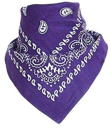 Boolavard 100% Cotton 1pcs, 6pcs or 12pcs Pack Bandanas with Original Paisley Pattern Colour of Choice Headwear/Hair (Purple)