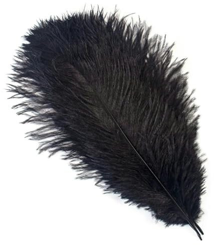 10 pièces 15-60 cm grandes plumes d'autruche blanches plumes d'autruche Carnaval centres de table accessoires de fête décoration-noir-45-50 cm